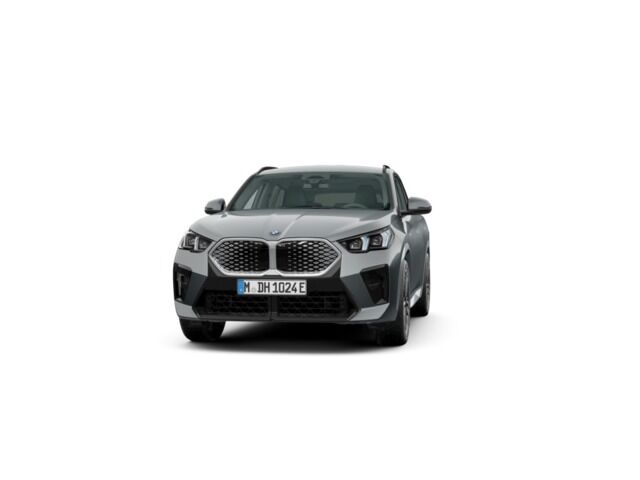 BMW iX (xDrive30 230 kW (313 CV)) en Alicante