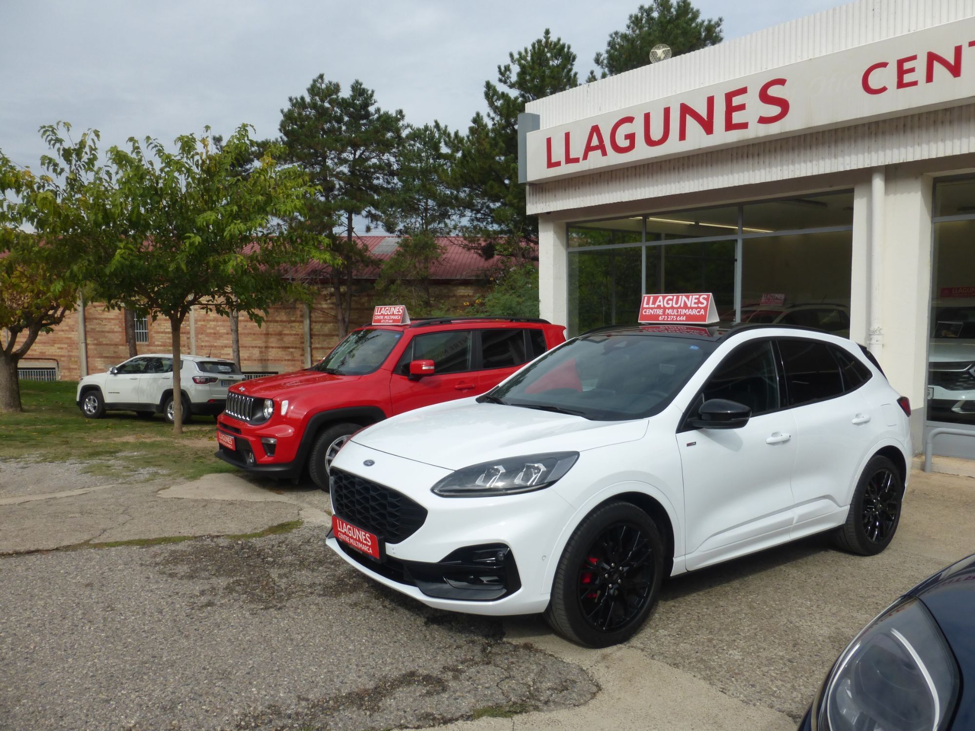 FORD Kuga (2.5 Duratec FHEV ST-Line X Graphite Tech 4x2 Aut.) en Lleida