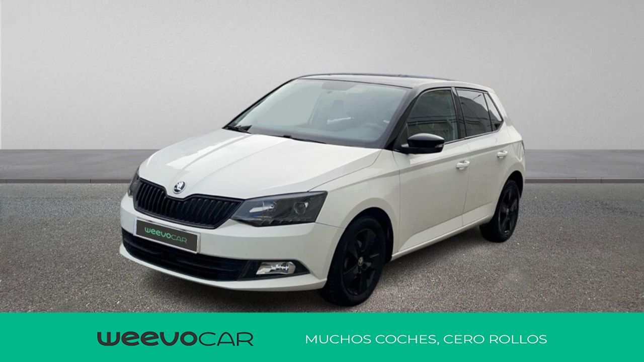 SKODA Fabia (1.2 TSI 66KW STYLE 90 5P) en Cantabria