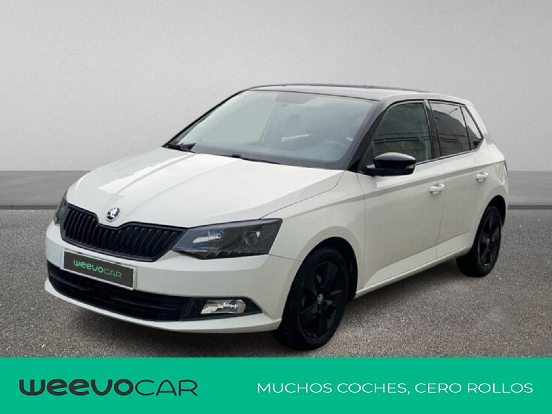 Imagen de SKODA Fabia