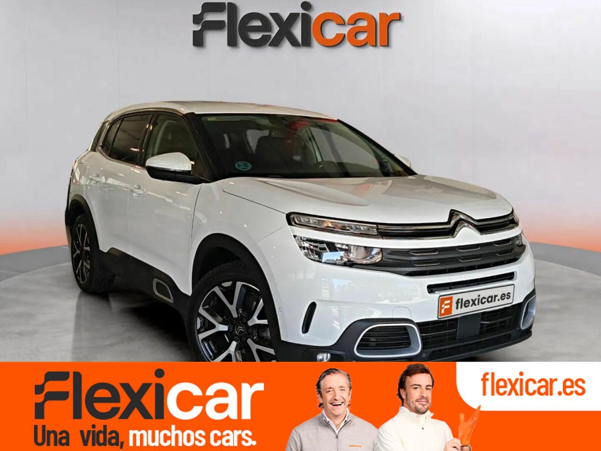 Imagen de CITROEN C5 Aircross