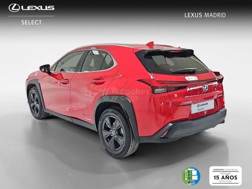 Foto del LEXUS UX 250h Business 4WD