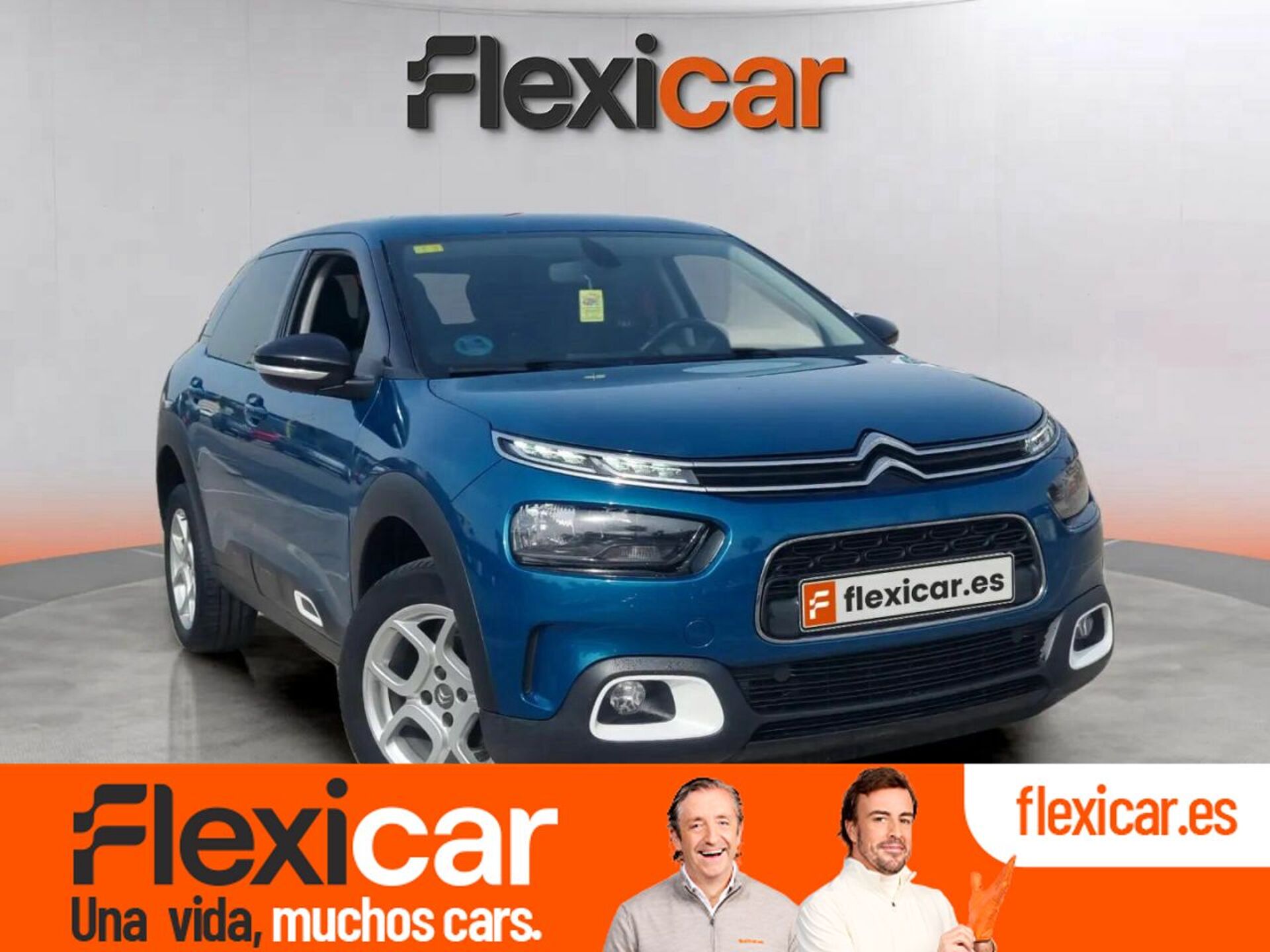 Imagen de CITROEN C4 Cactus