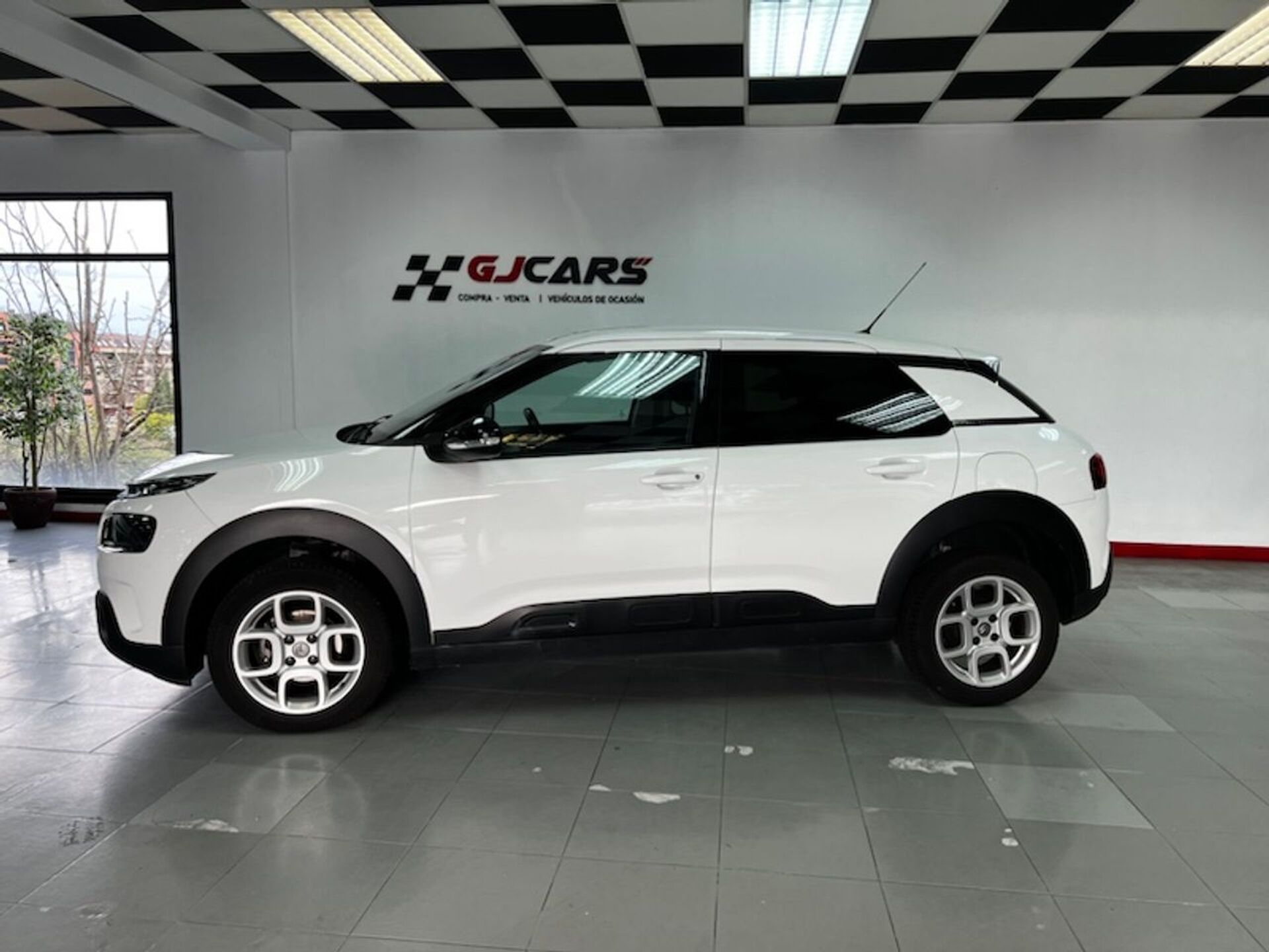 Imagen de CITROEN C4 Cactus