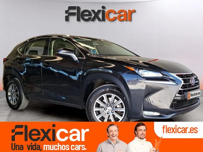 LEXUS NX (2.5 300h Business 2WD) en Guadalajara