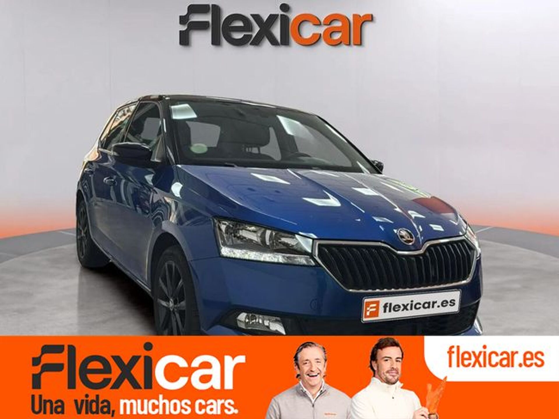 Imagen de SKODA Fabia