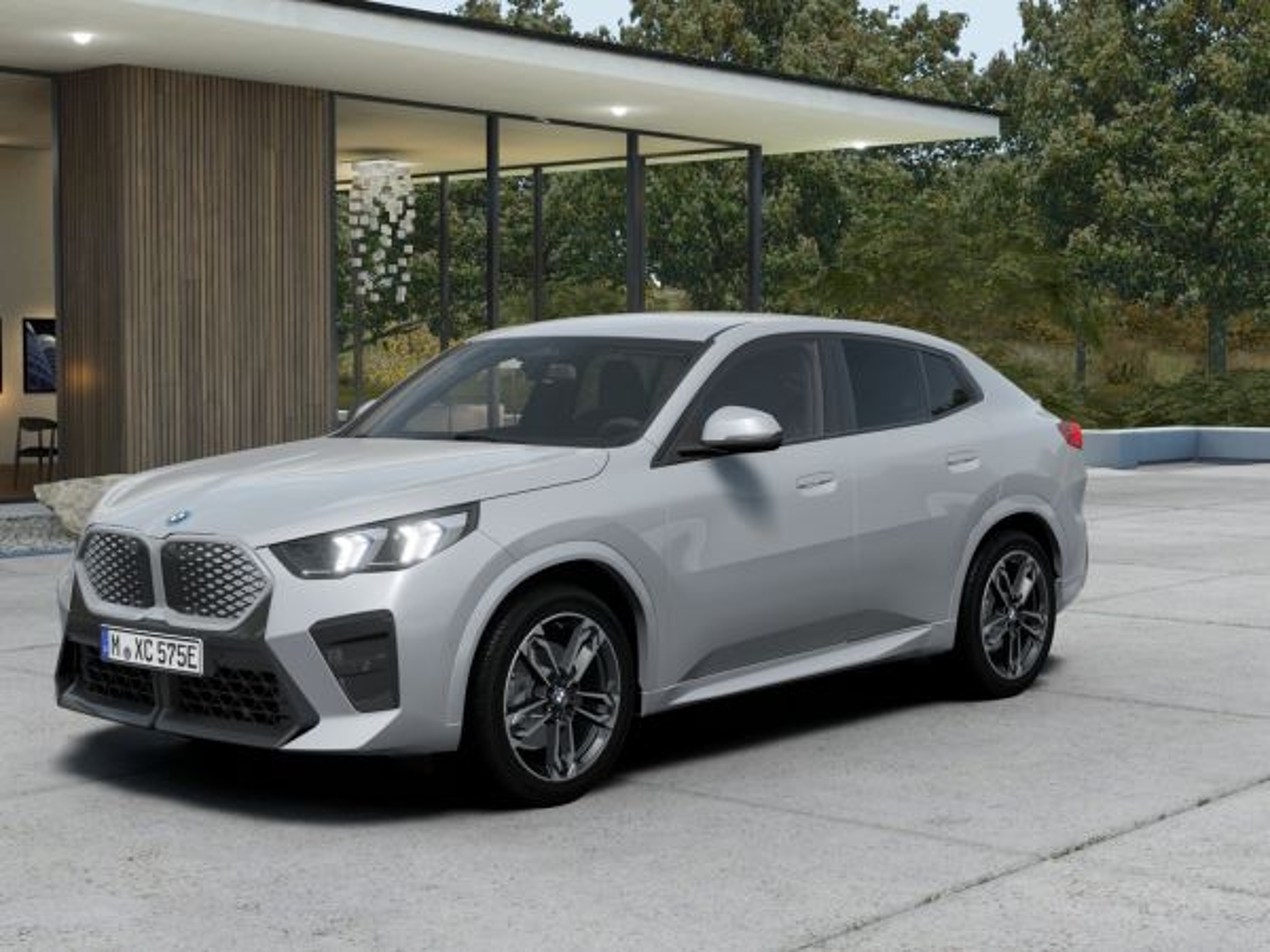 Imagen de BMW X2