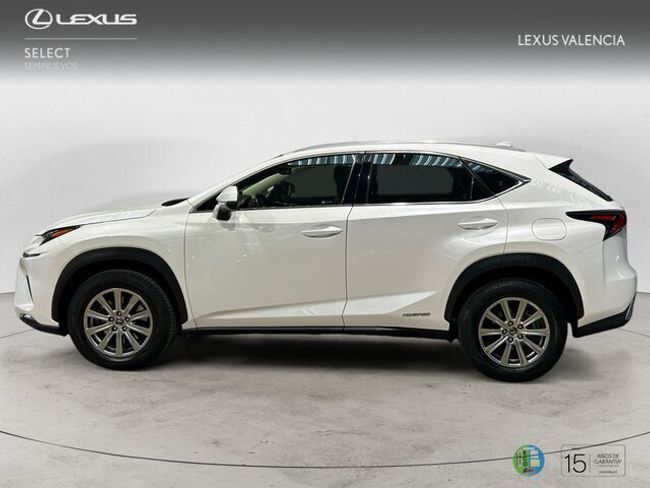 Foto del LEXUS NX 300h Business 2WD