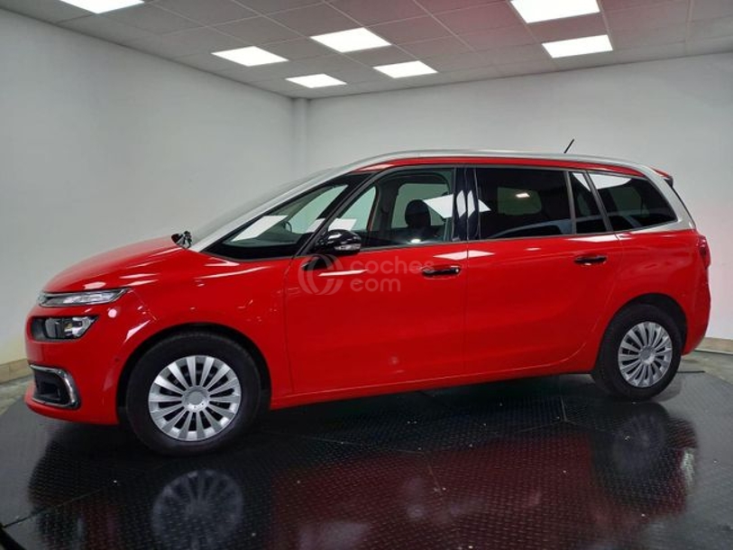 Foto del CITROEN C4 1.5BlueHDI Shine EAT8 130
