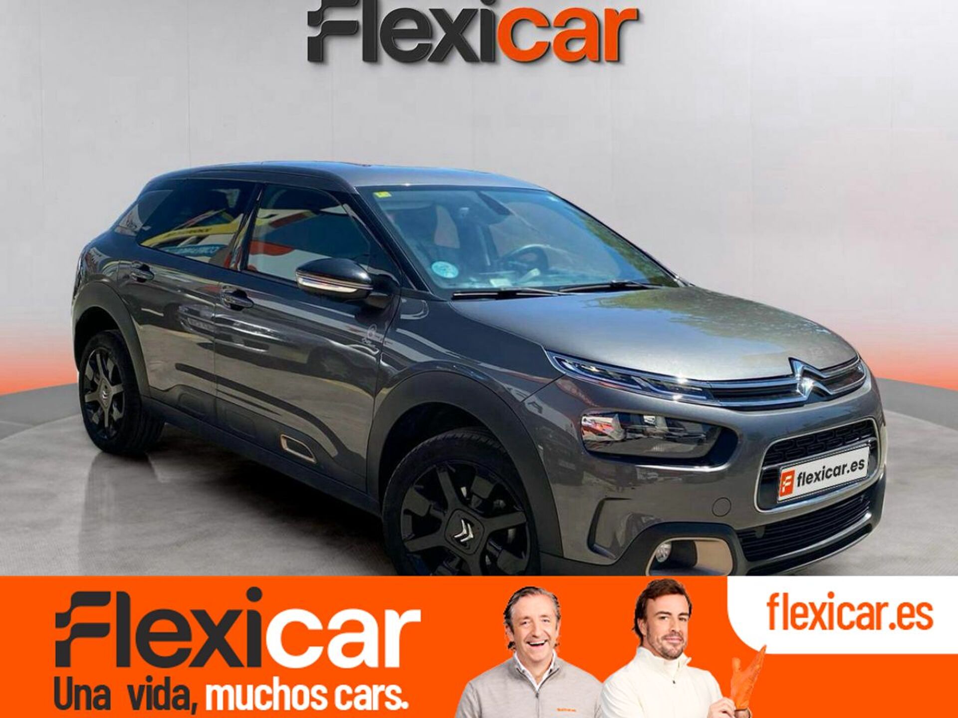 Imagen de CITROEN C4 Cactus