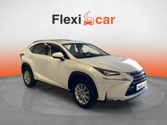 Imagen de LEXUS NX 300h Corporate 2WD + Navibox