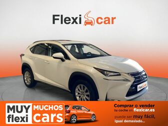 Imagen de LEXUS NX 300h Corporate 2WD + Navibox