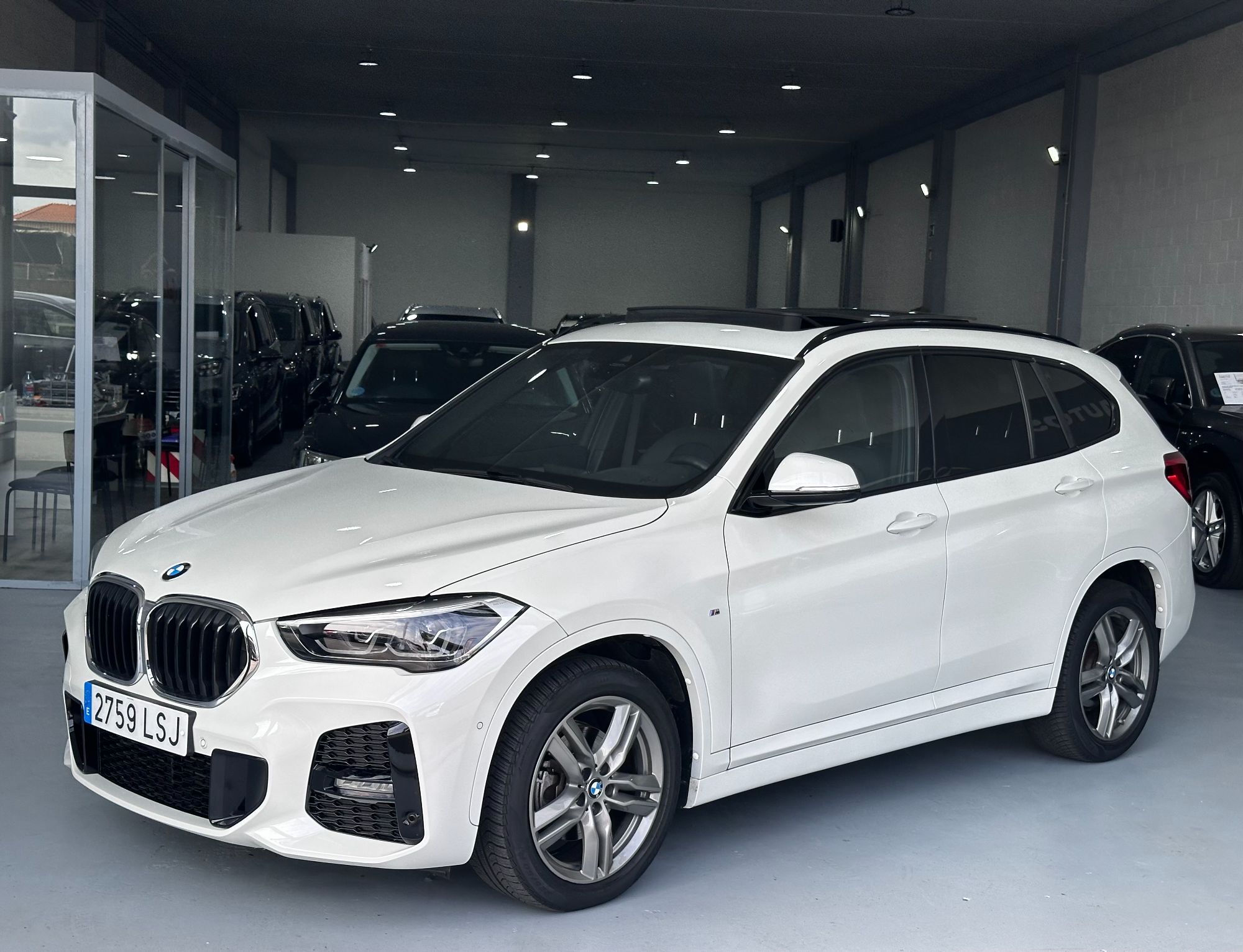 BMW X1 (sDrive 18dA) en Vizcaya