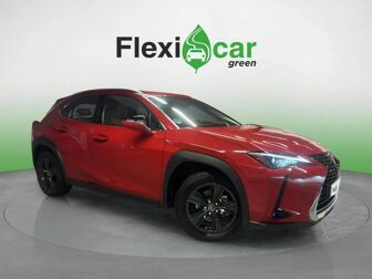 Imagen de LEXUS UX 250h Business 4WD