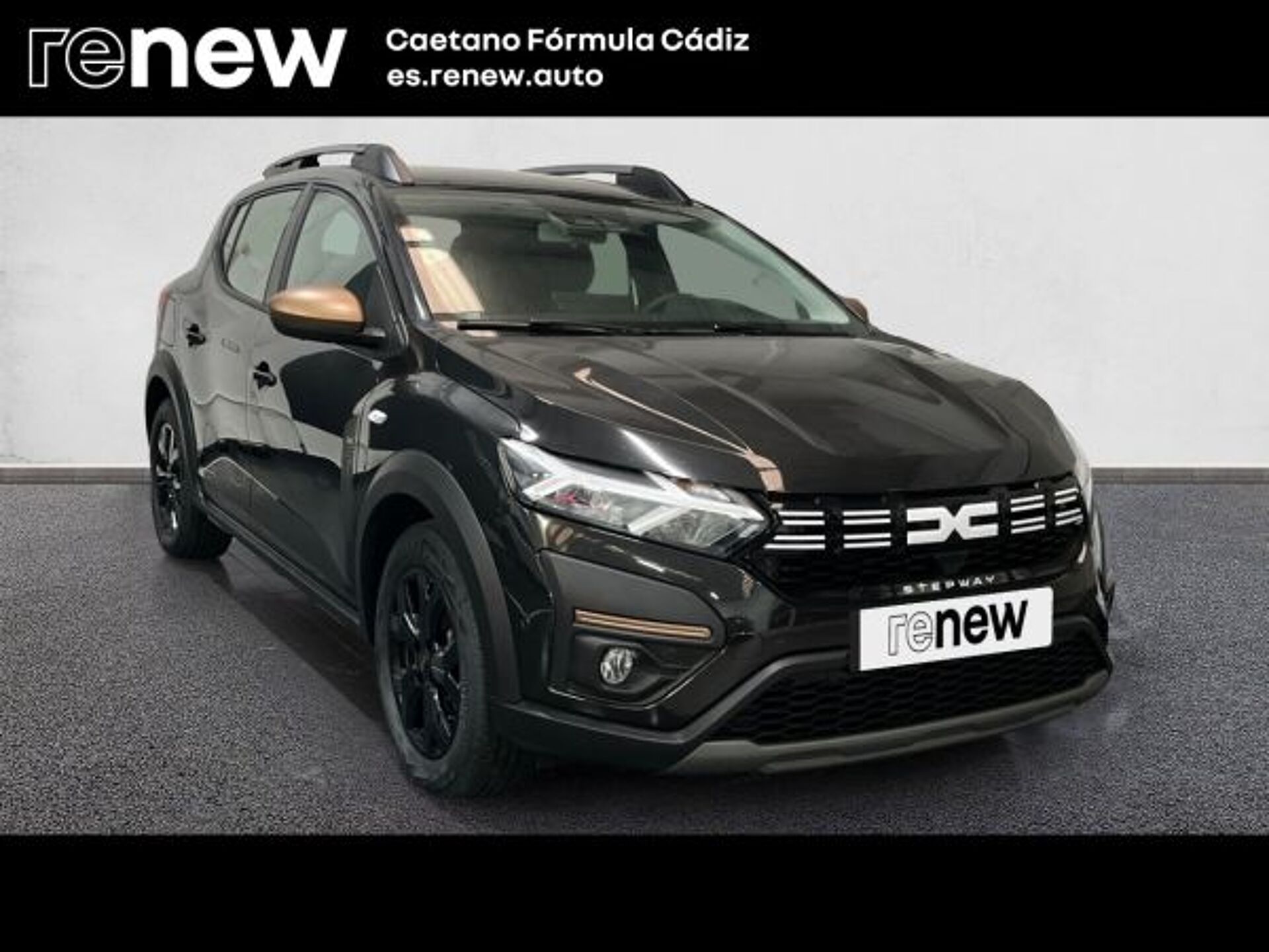 Imagen 3 de DACIA Sandero