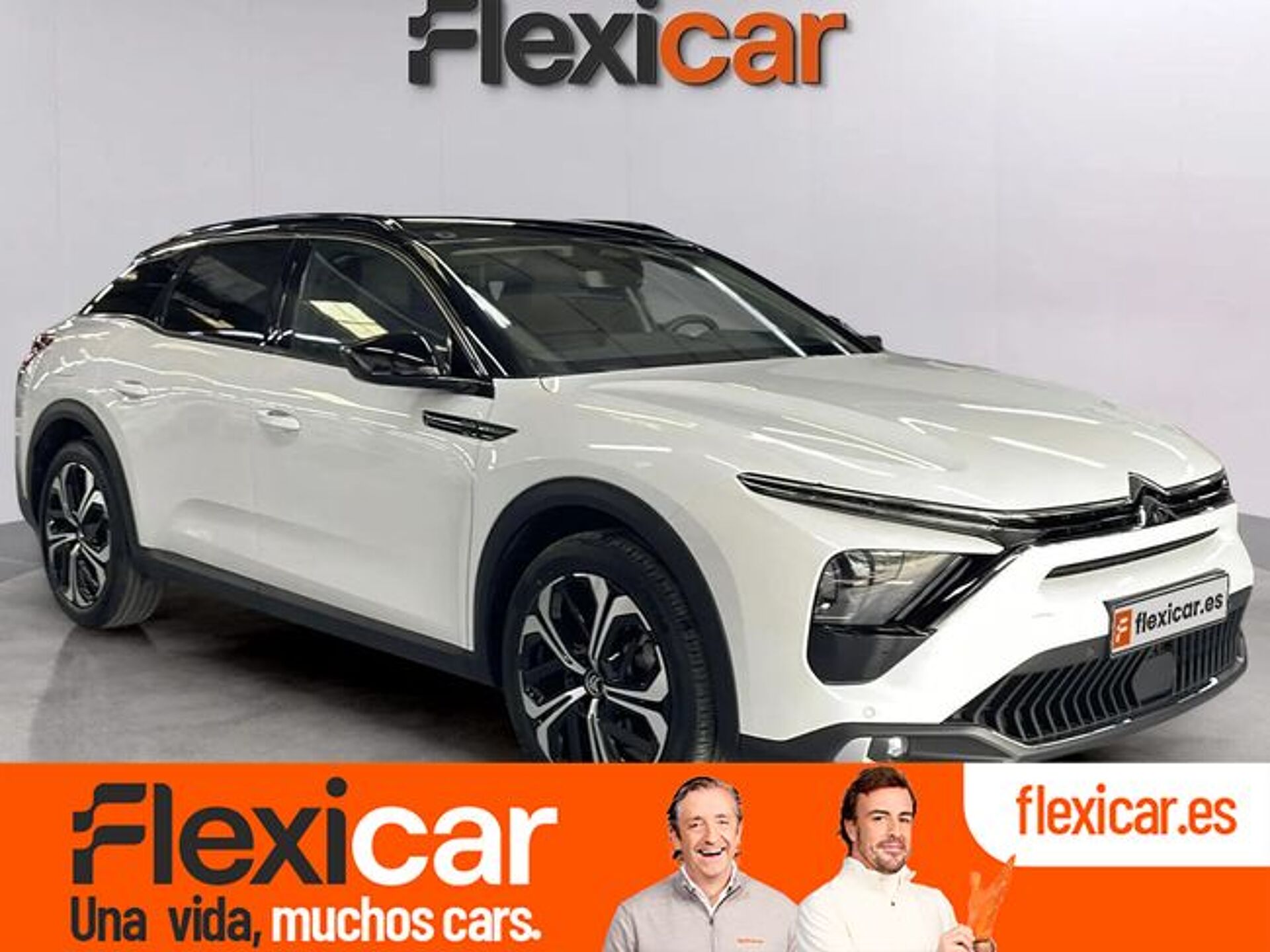 Imagen de CITROEN C5 X