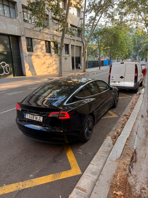 Foto del TESLA Model 3 Long-Range Dual Motor AWD