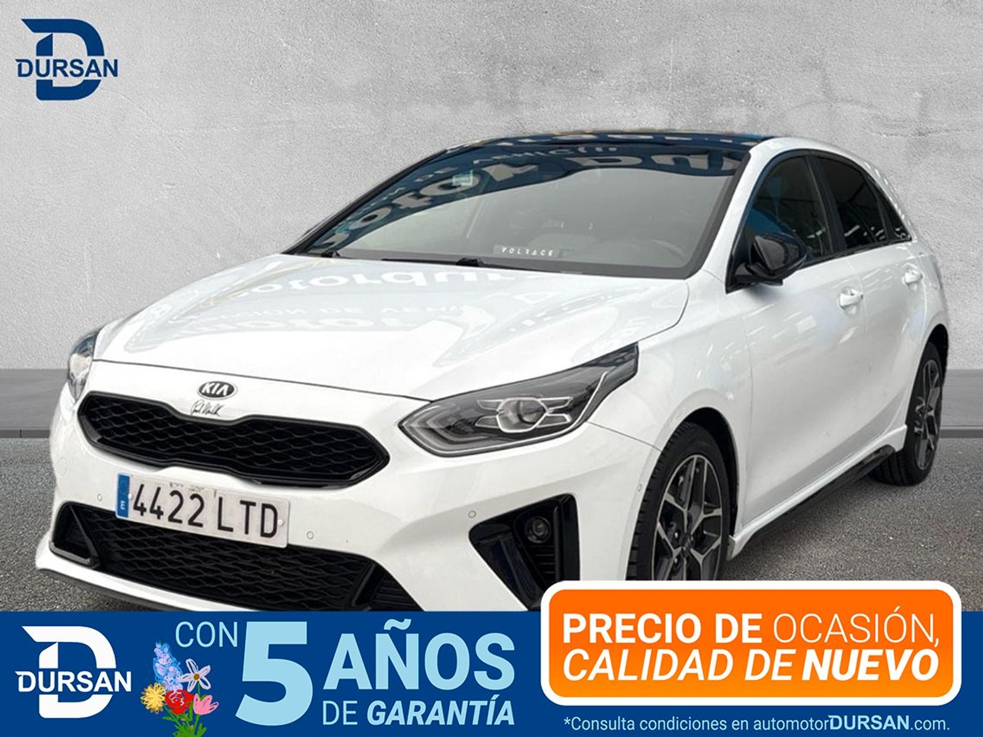 Imagen de KIA Ceed