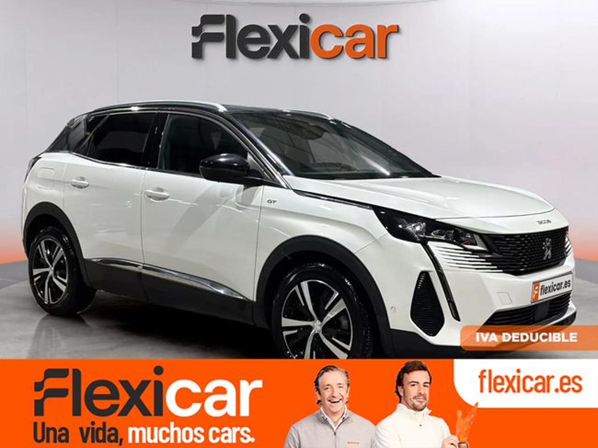 Imagen de PEUGEOT 3008