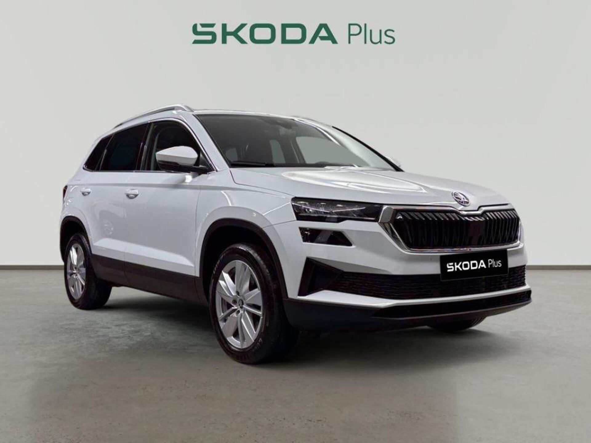 Imagen 1 de SKODA Karoq