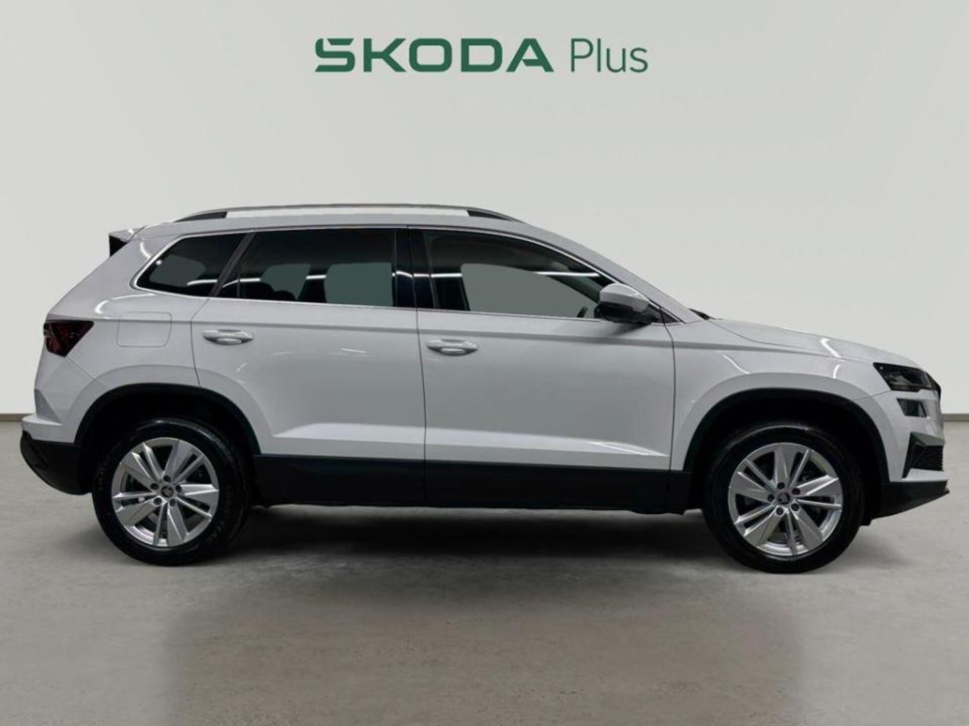 Imagen 3 de SKODA Karoq