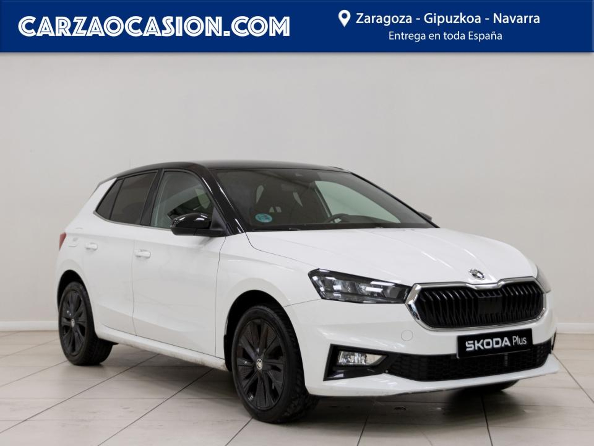 Imagen de SKODA Fabia