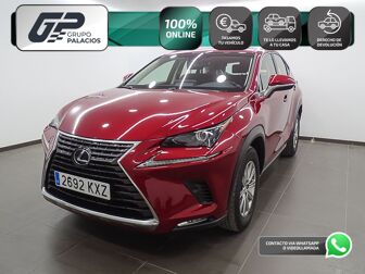 Imagen de LEXUS NX 300h Business 2WD