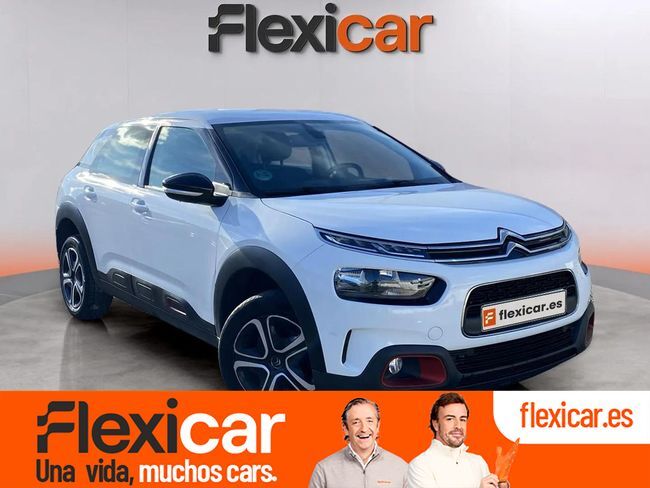 CITROEN C4 Cactus (BlueHDi 100 S&S C-Series) en Segovia