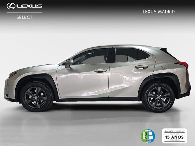 Foto del LEXUS UX 250h Business 4WD