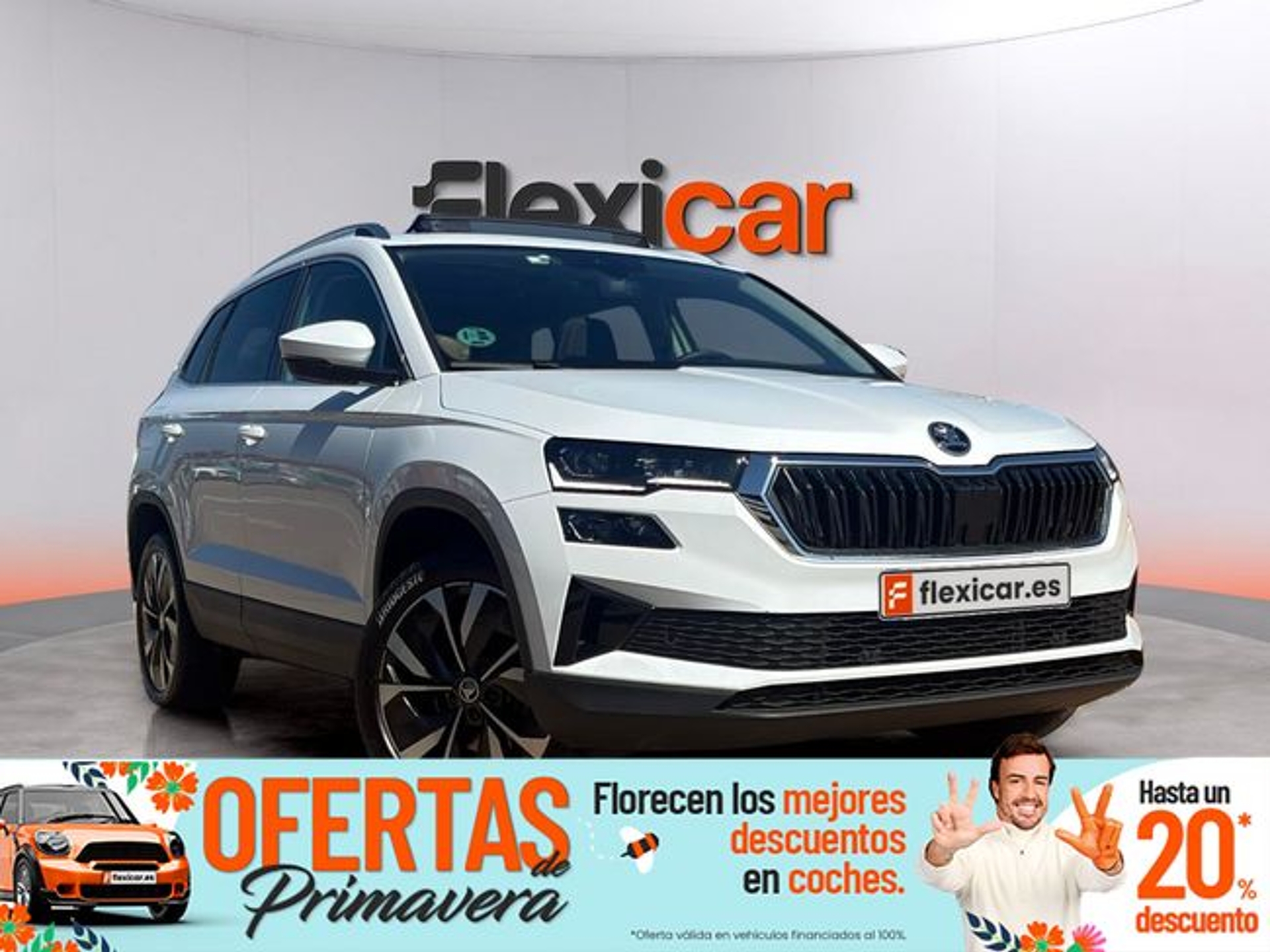 Imagen de SKODA Karoq