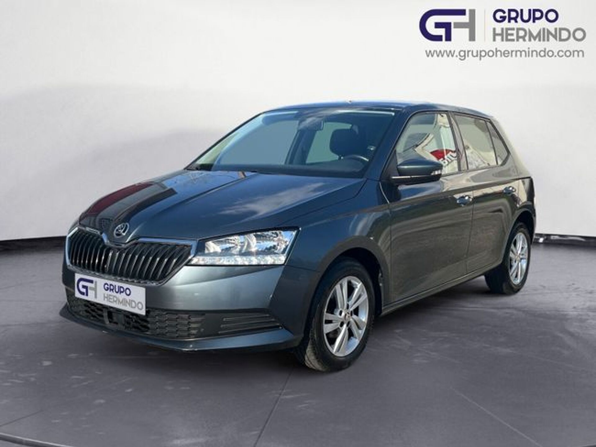 Imagen 2 de SKODA Fabia
