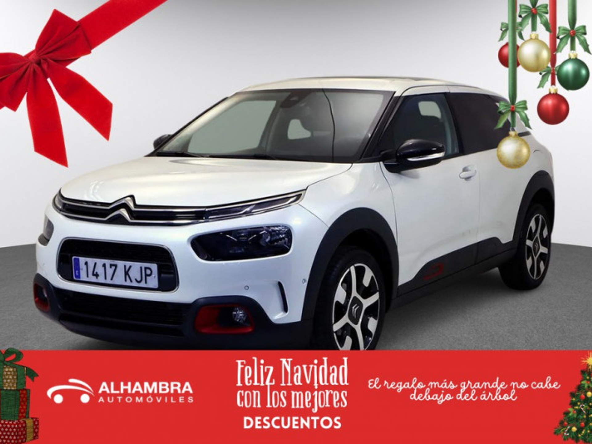 Imagen de CITROEN C4 Cactus