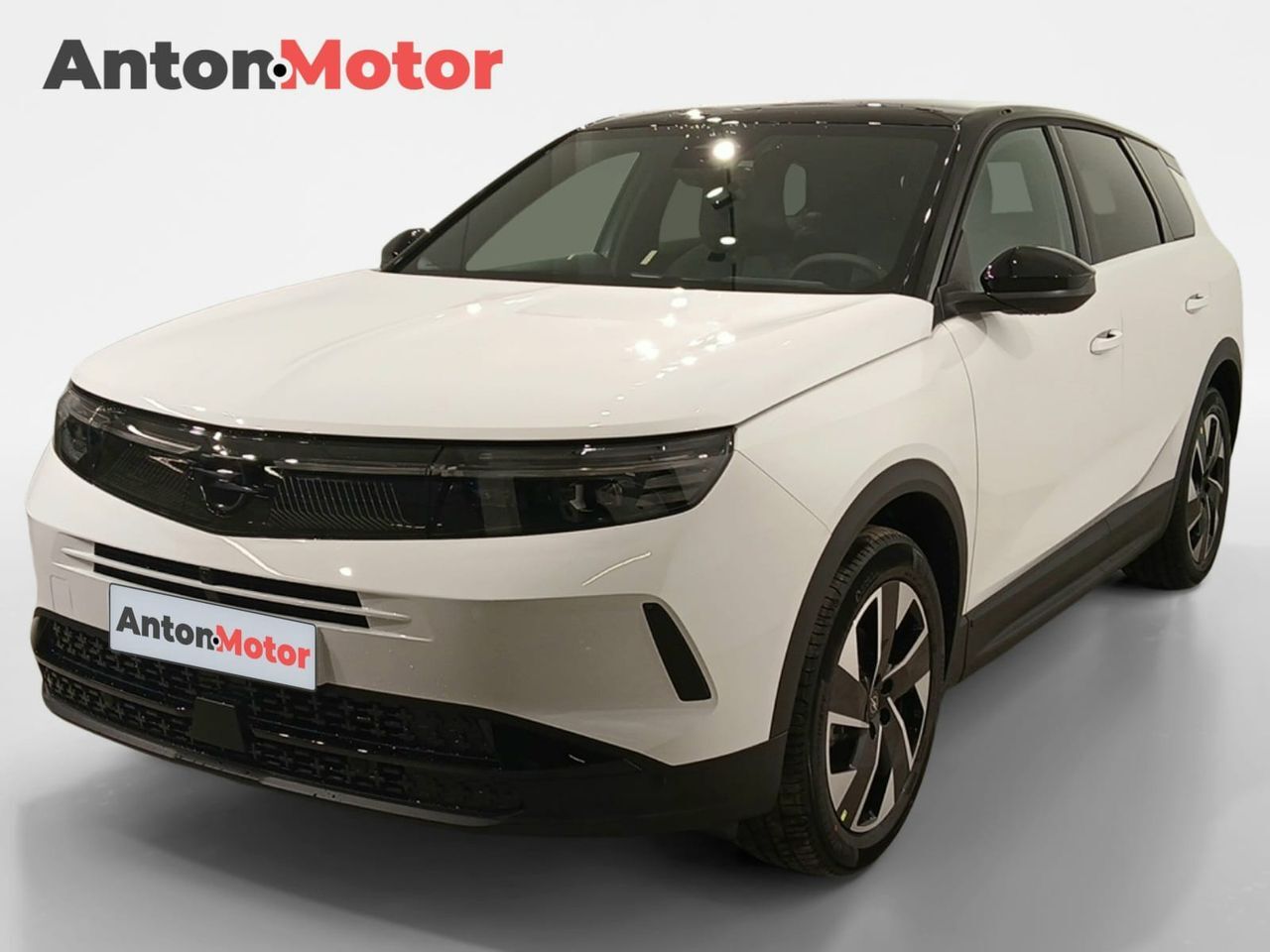OPEL Grandland (1.2T XHT Hybrid eDCT6 S/S GS) en Álava