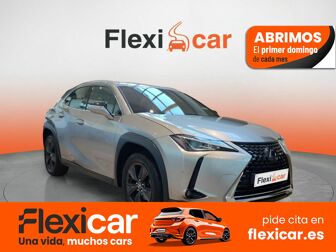 Imagen de LEXUS UX 250h Business 2WD