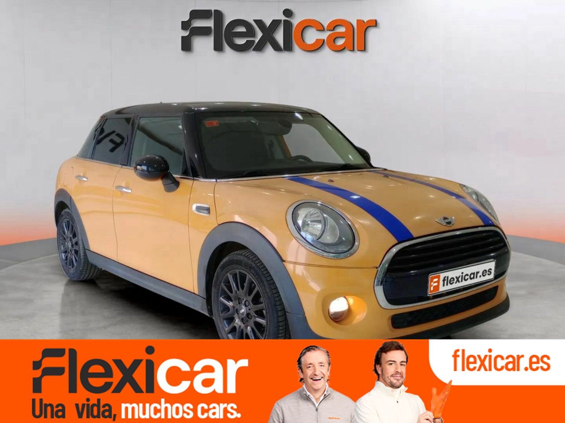 Imagen de MINI Mini