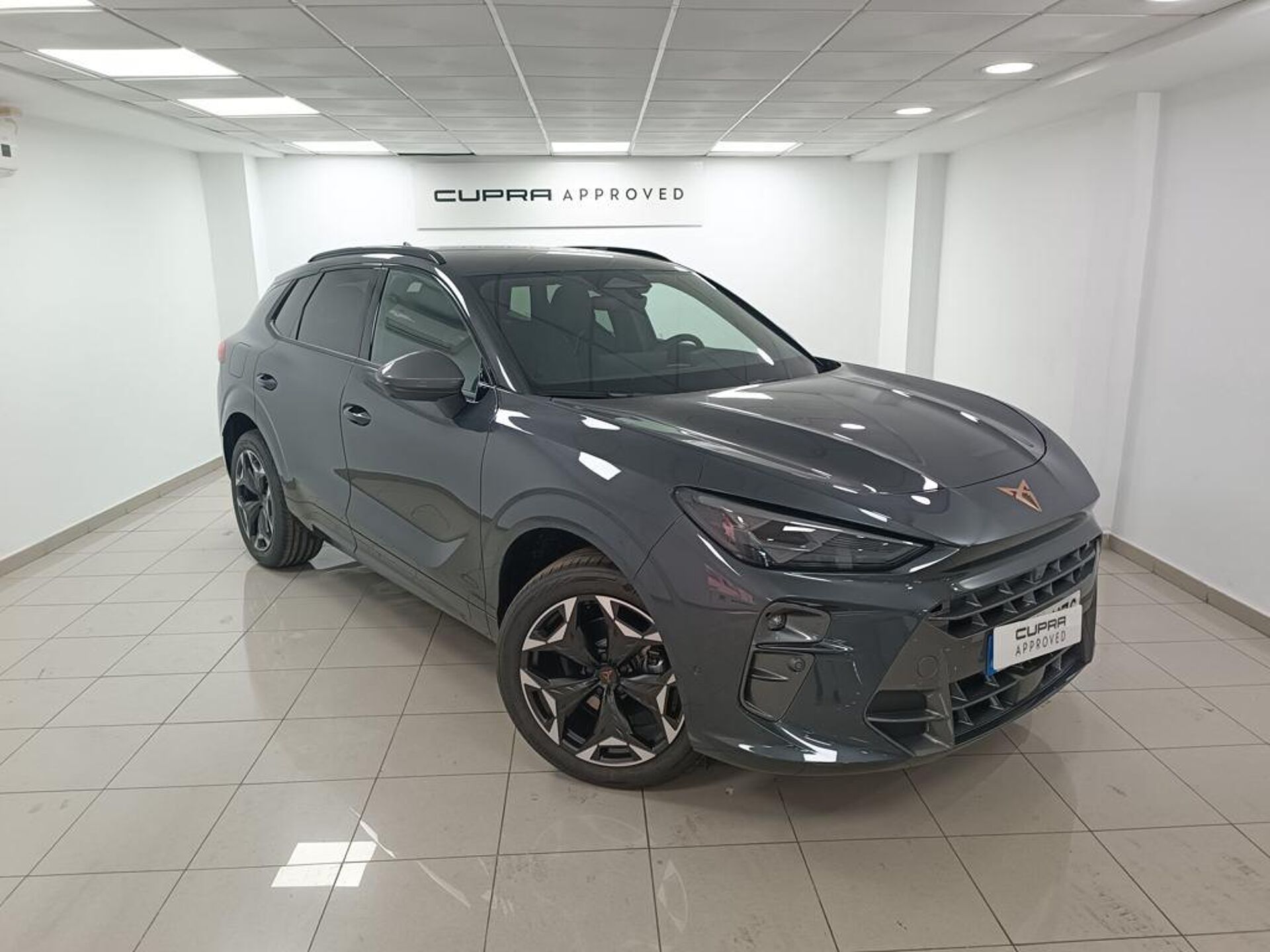 Imagen de CUPRA Terramar
