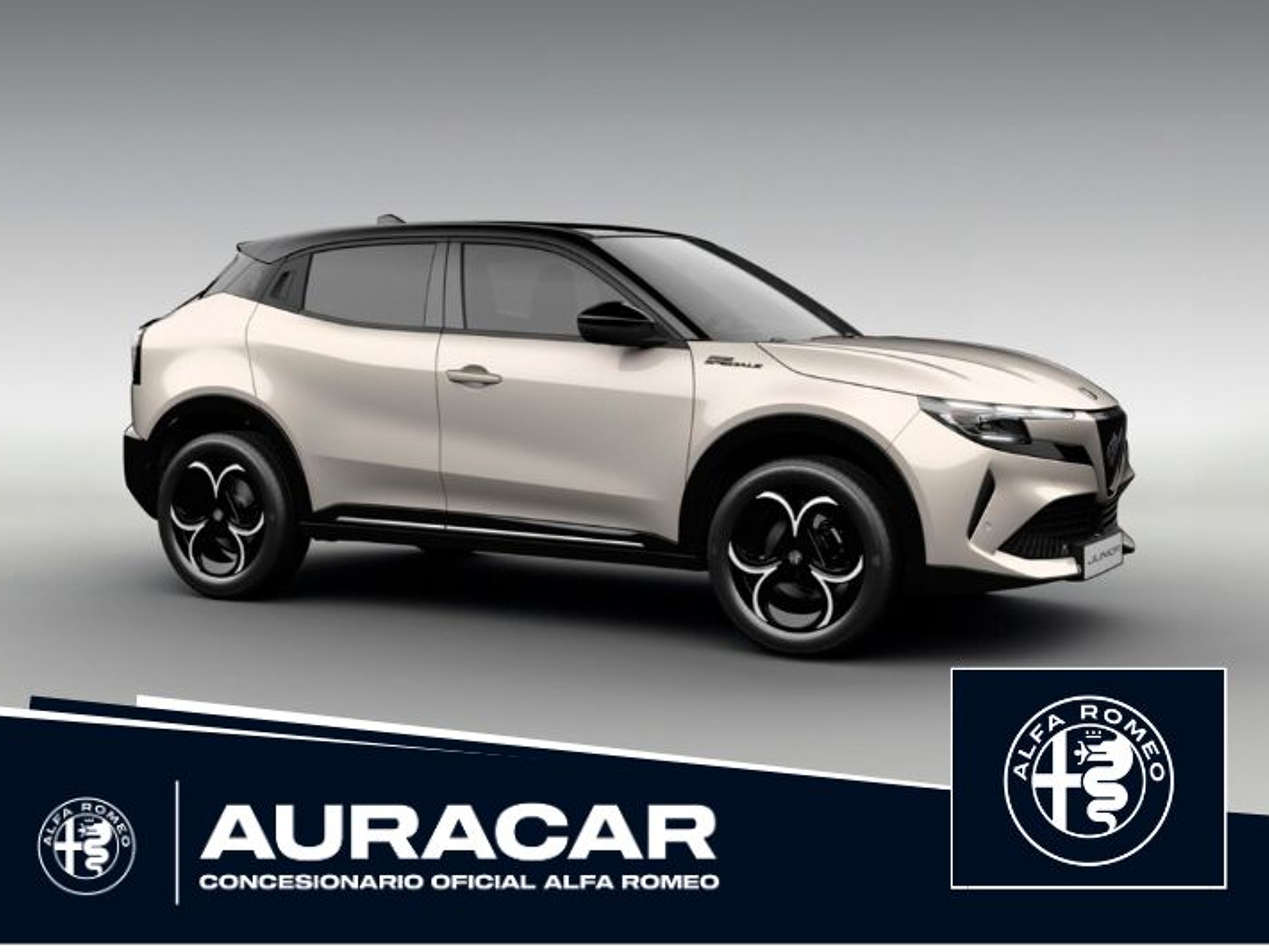 Imagen de ALFA ROMEO Junior