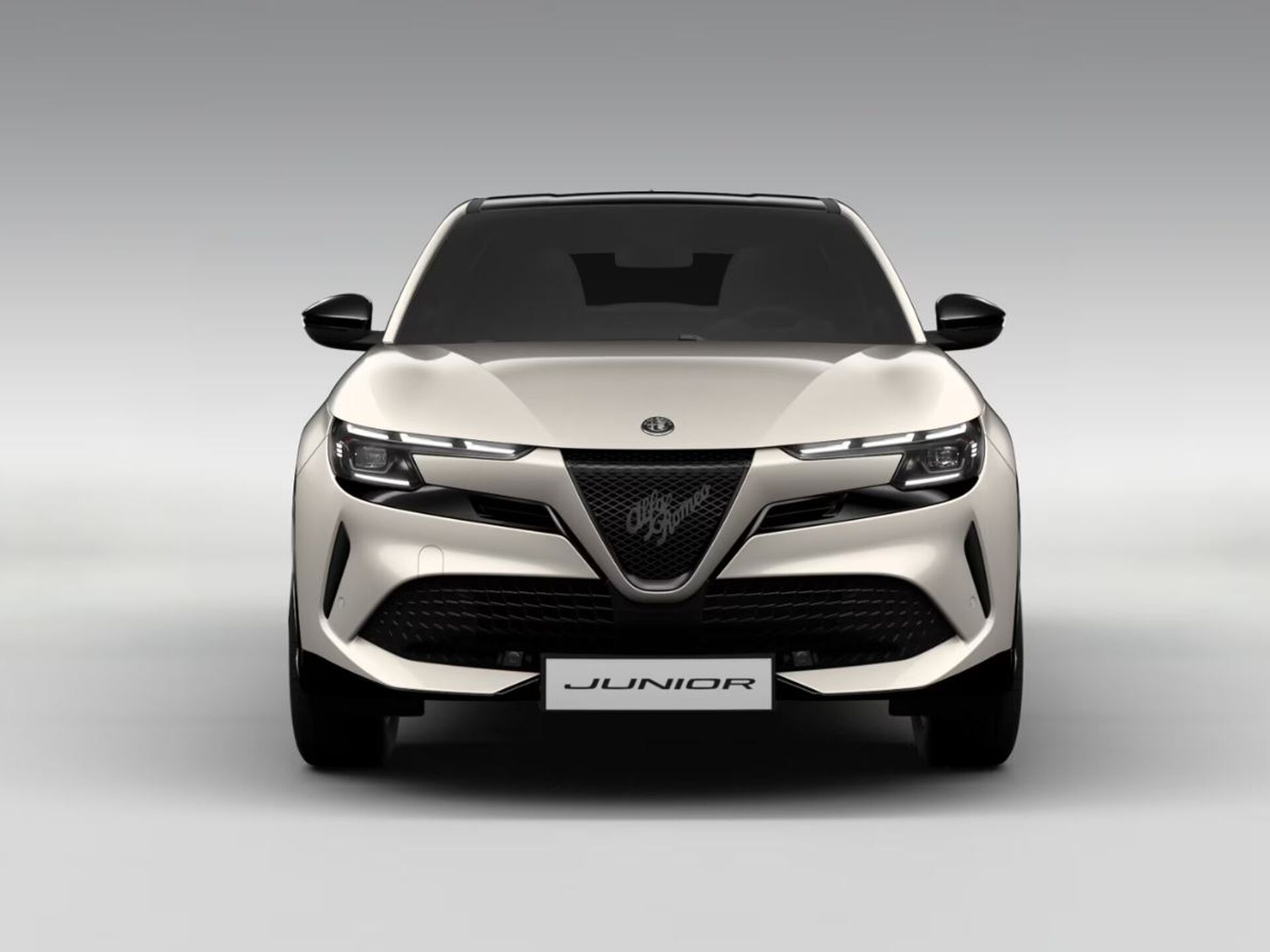 Imagen 2 de ALFA ROMEO Junior