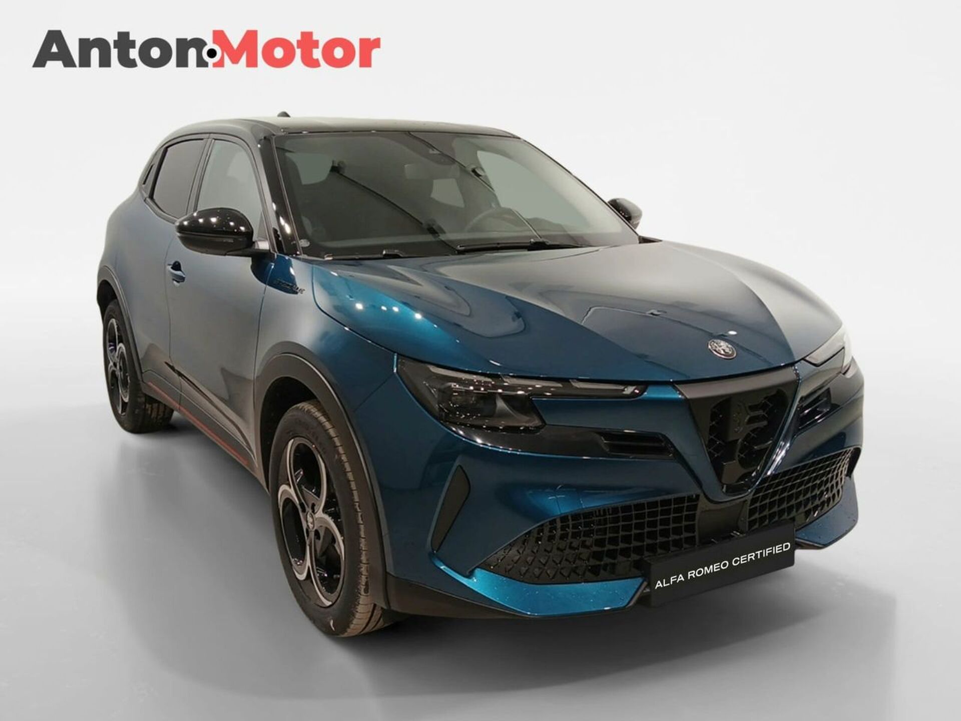 Imagen 3 de ALFA ROMEO Junior