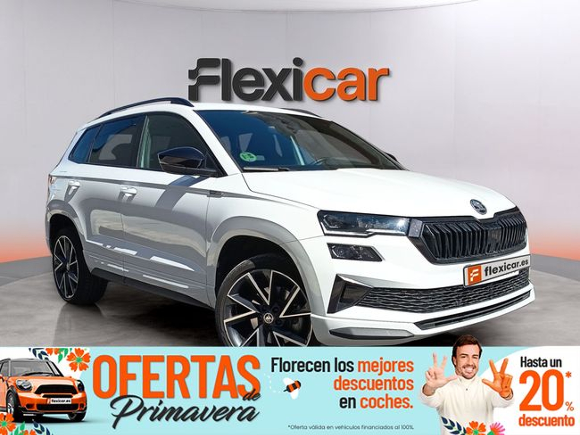 Imagen de SKODA Karoq
