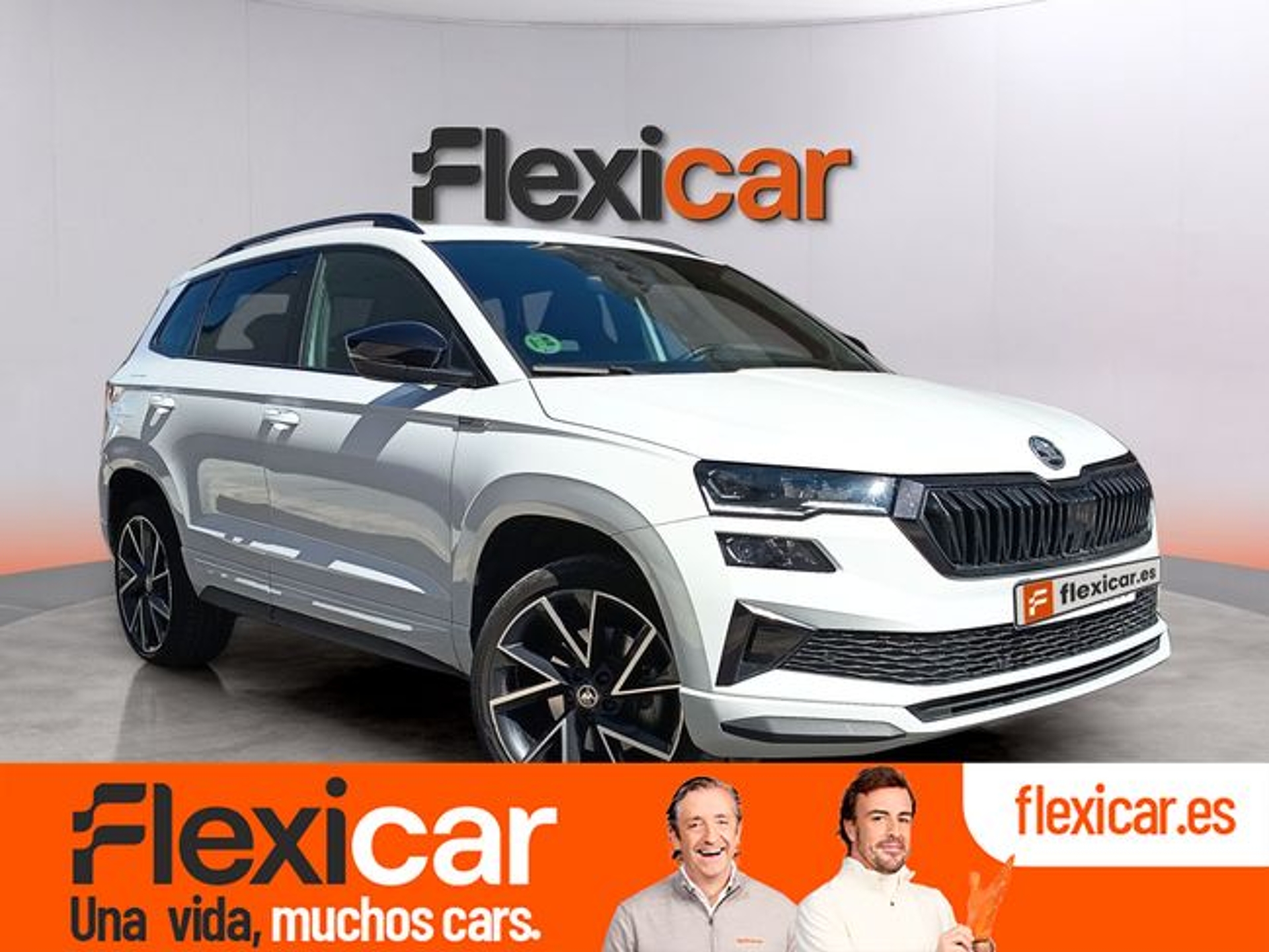 Imagen de SKODA Karoq