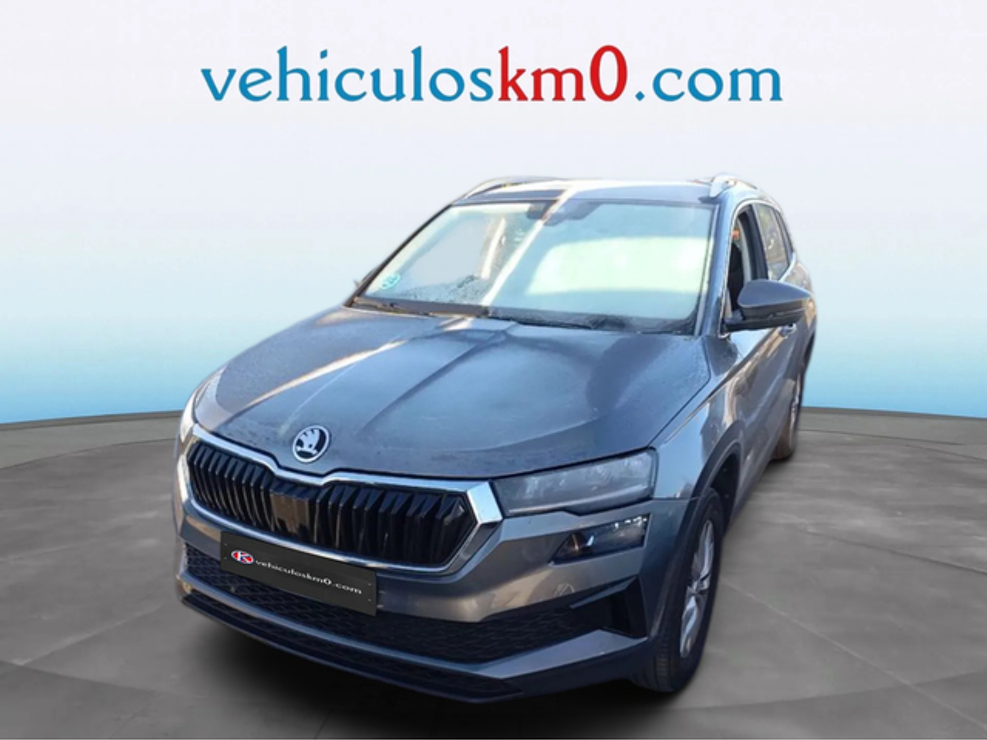 Imagen de SKODA Karoq