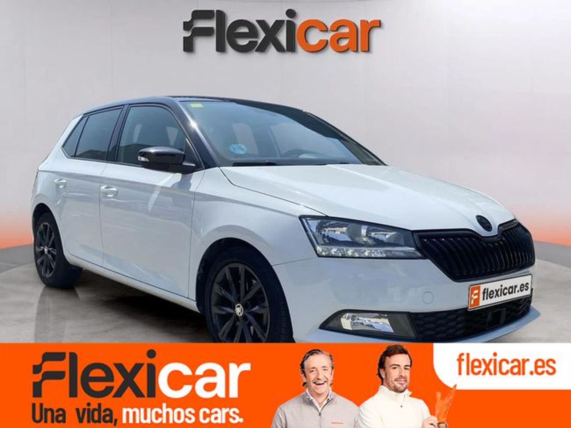 Imagen de SKODA Fabia
