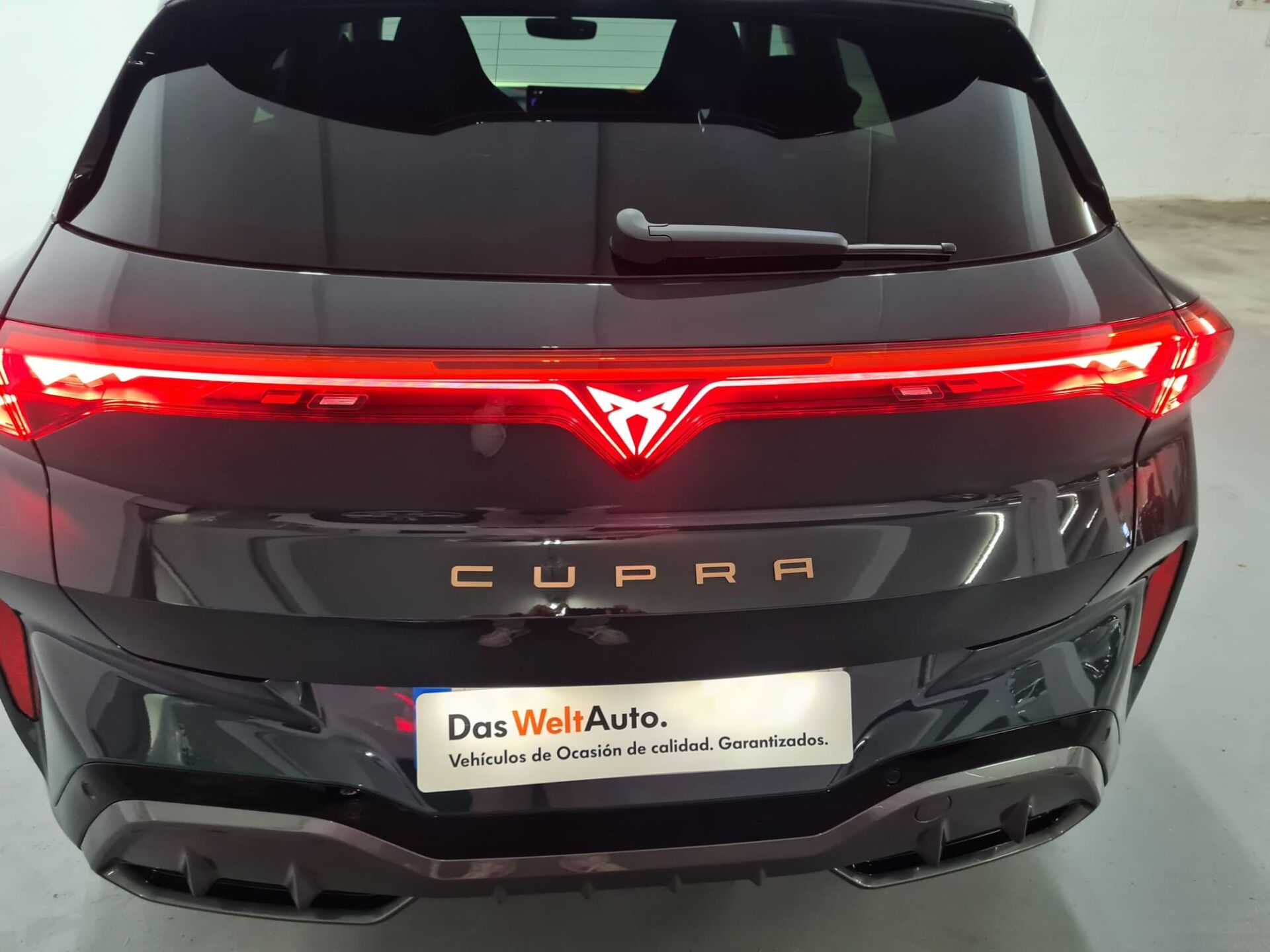 Imagen 3 de CUPRA Terramar