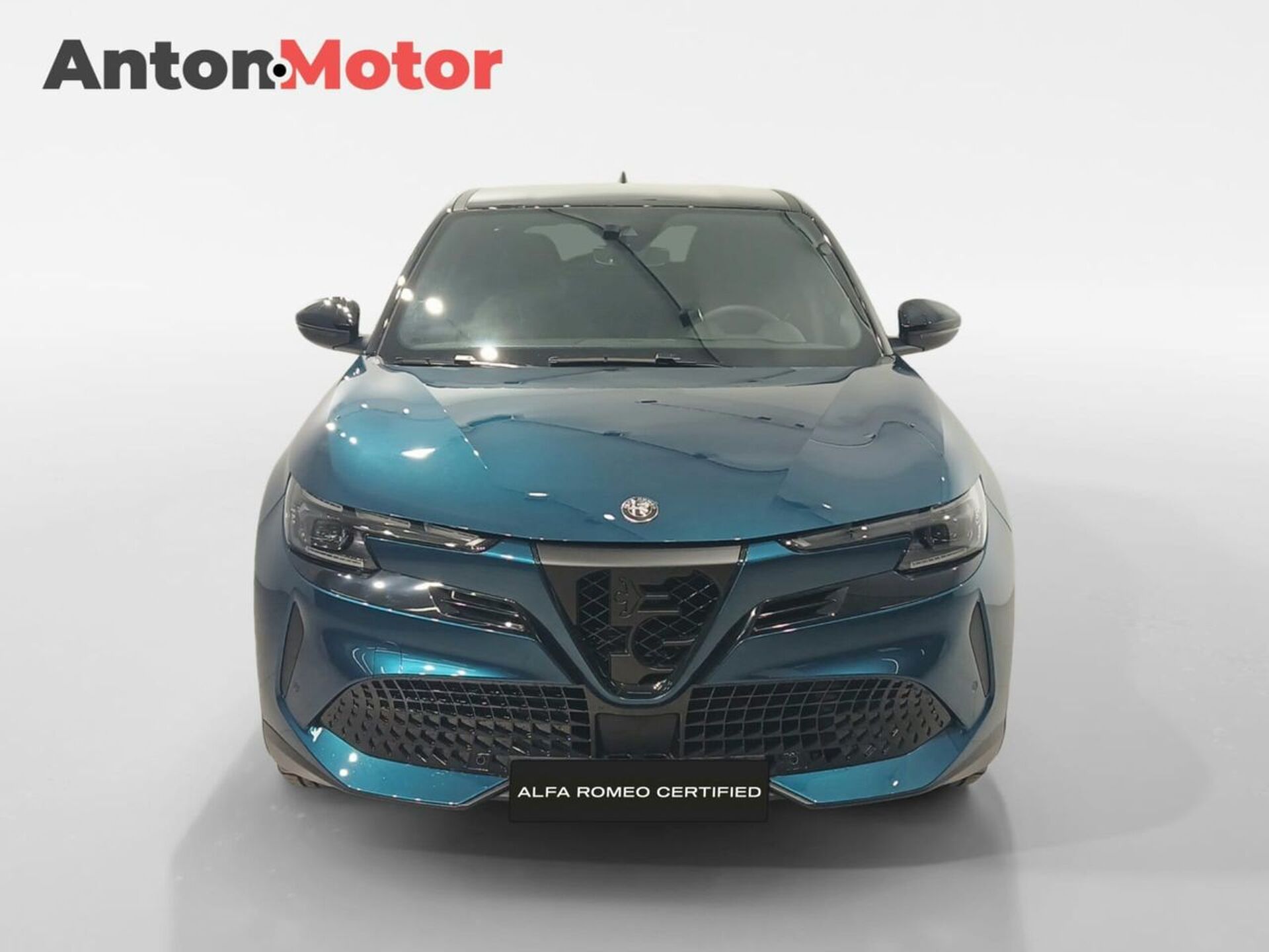 Imagen 3 de ALFA ROMEO Junior