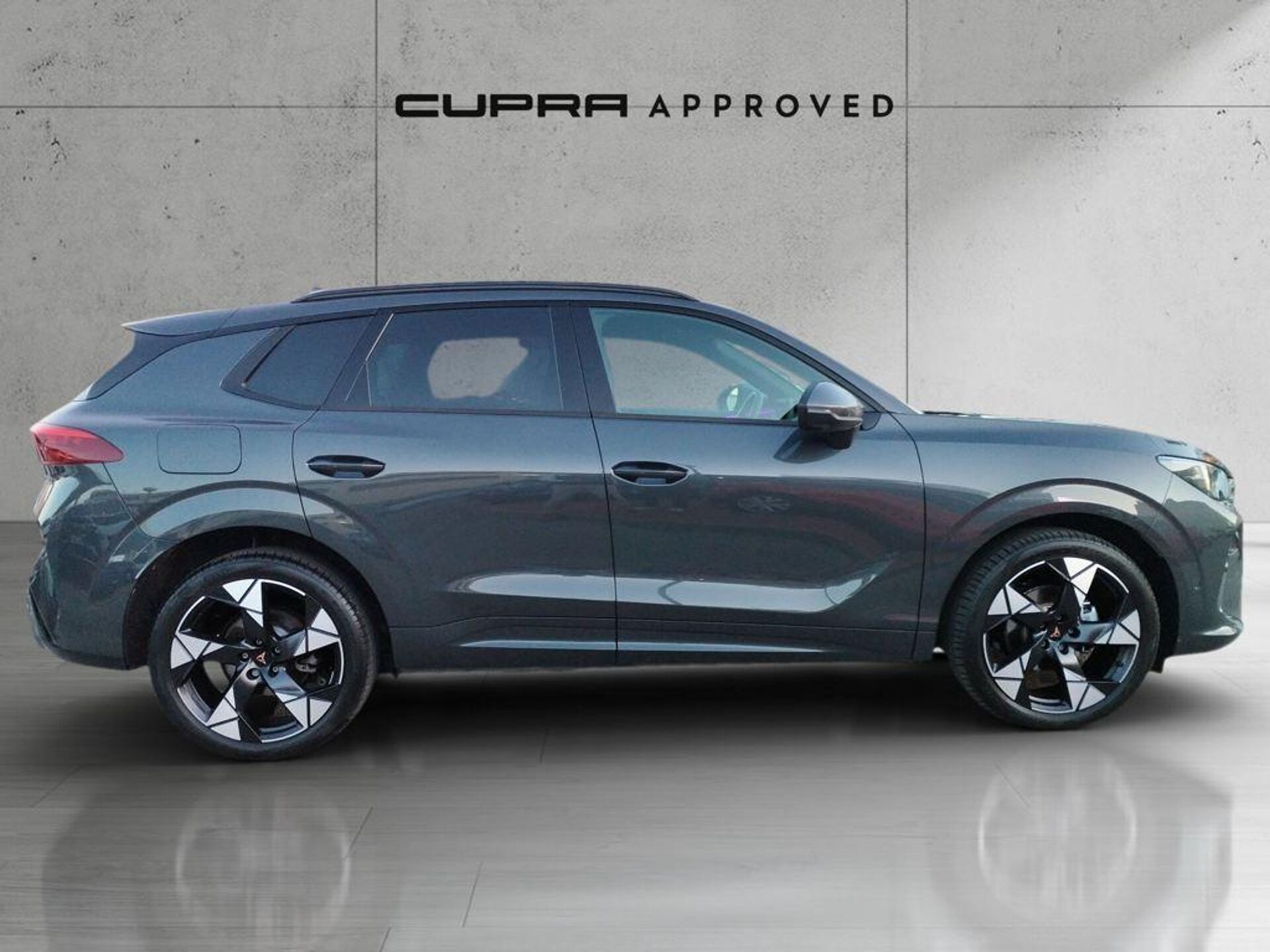 Imagen 3 de CUPRA Terramar