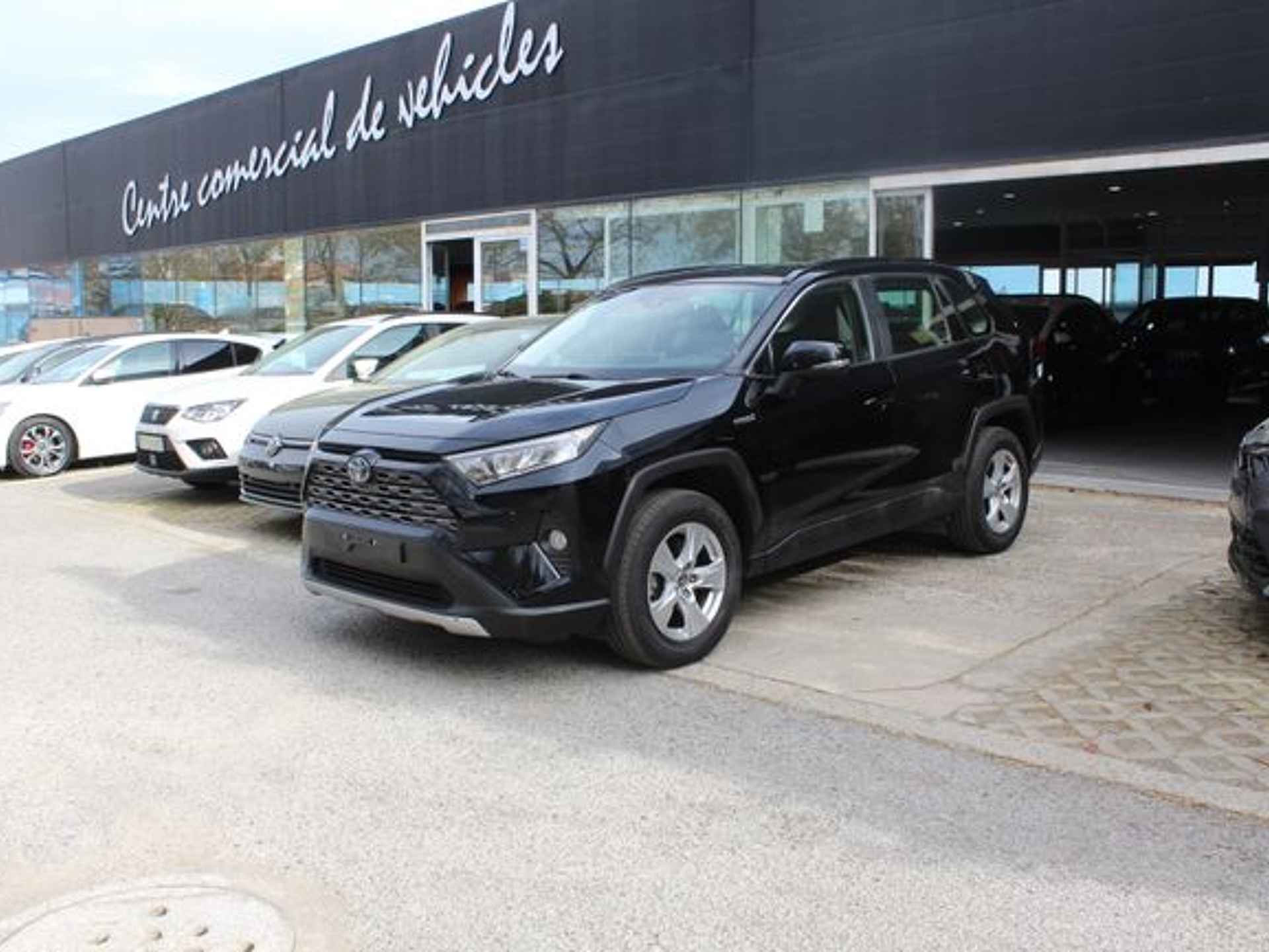 Imagen de TOYOTA RAV-4
