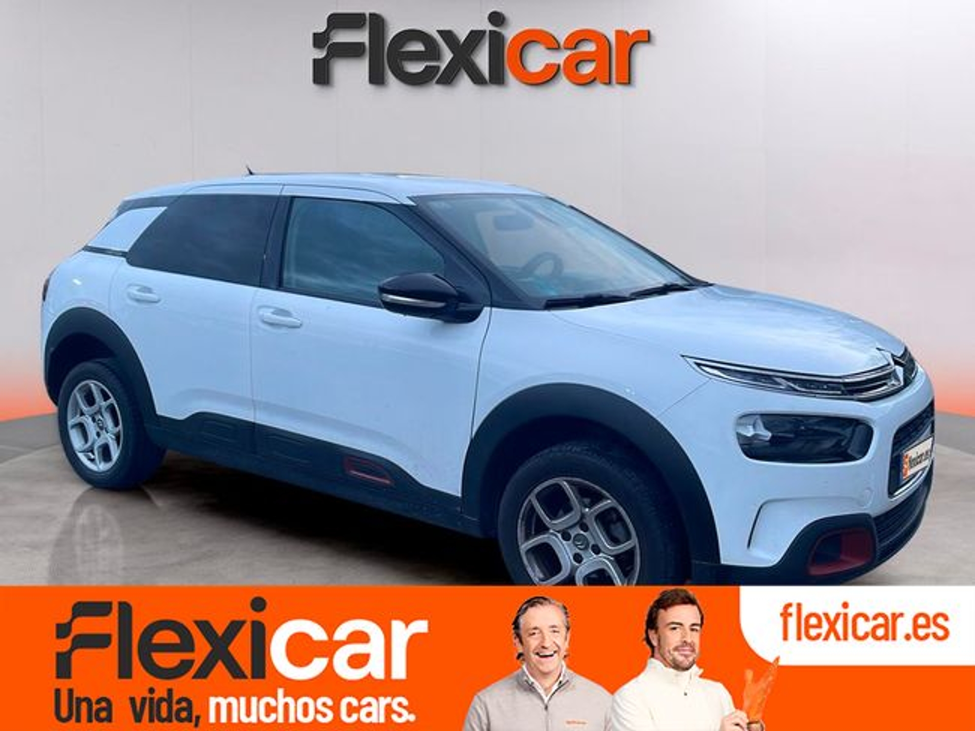 Imagen de CITROEN C4 Cactus