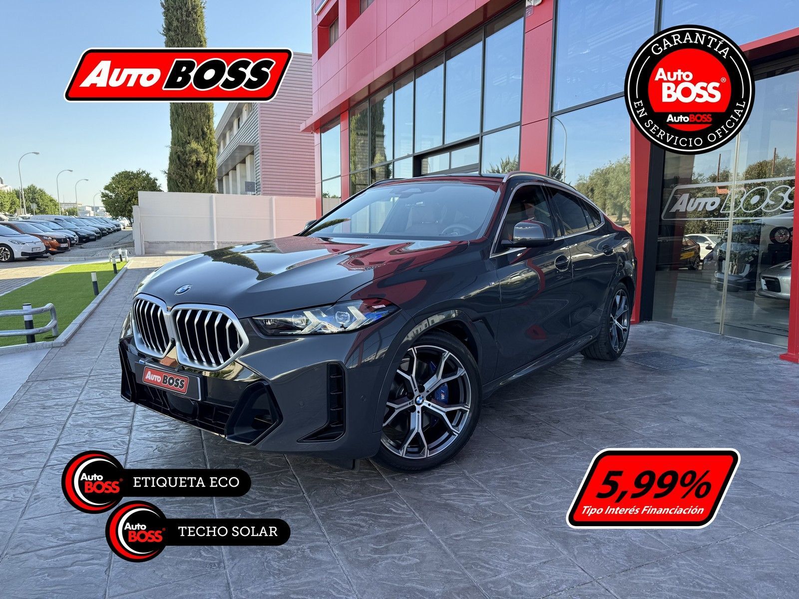 BMW X6 (xDrive 30dA M Sport) en Sevilla