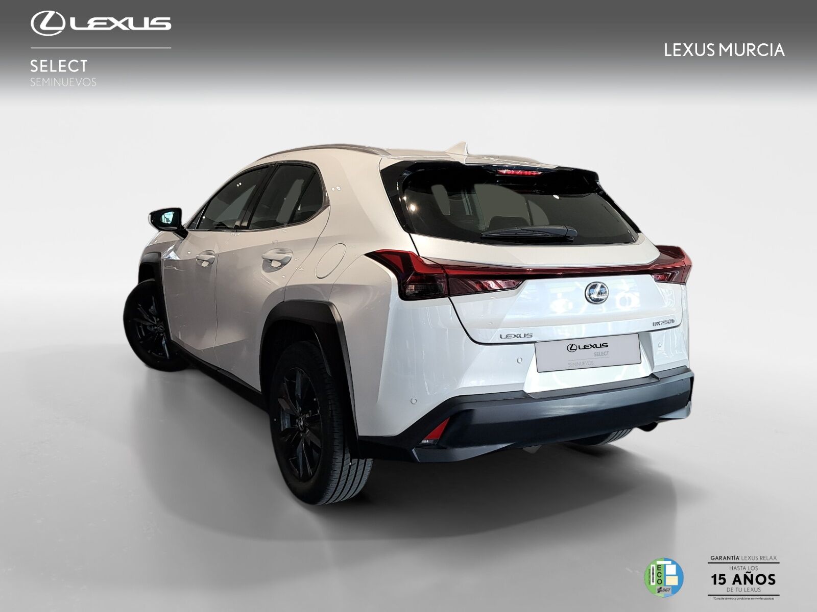 Foto del LEXUS UX 250h Business 4WD
